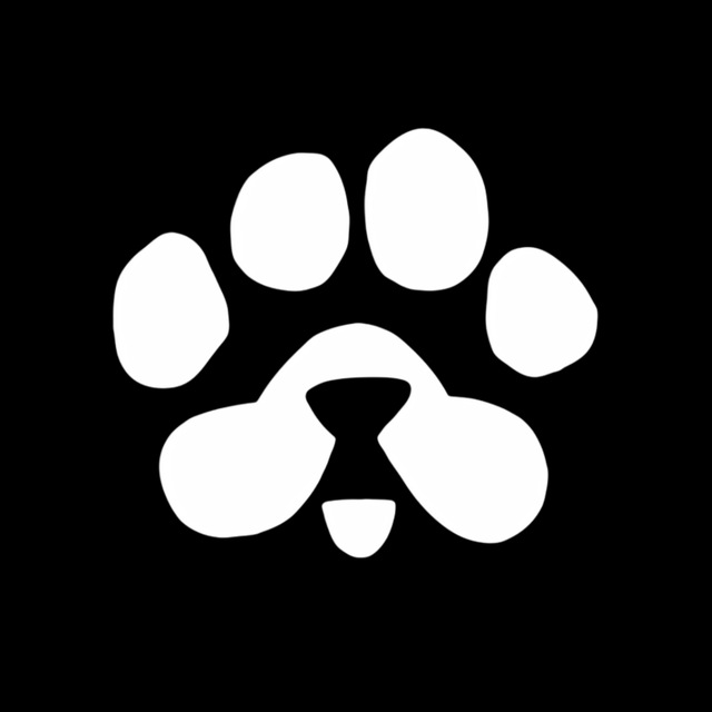 PAWS Pre Market Price Today